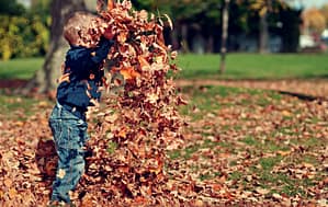 boy playing with leafs